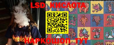 гидропоника Будённовск