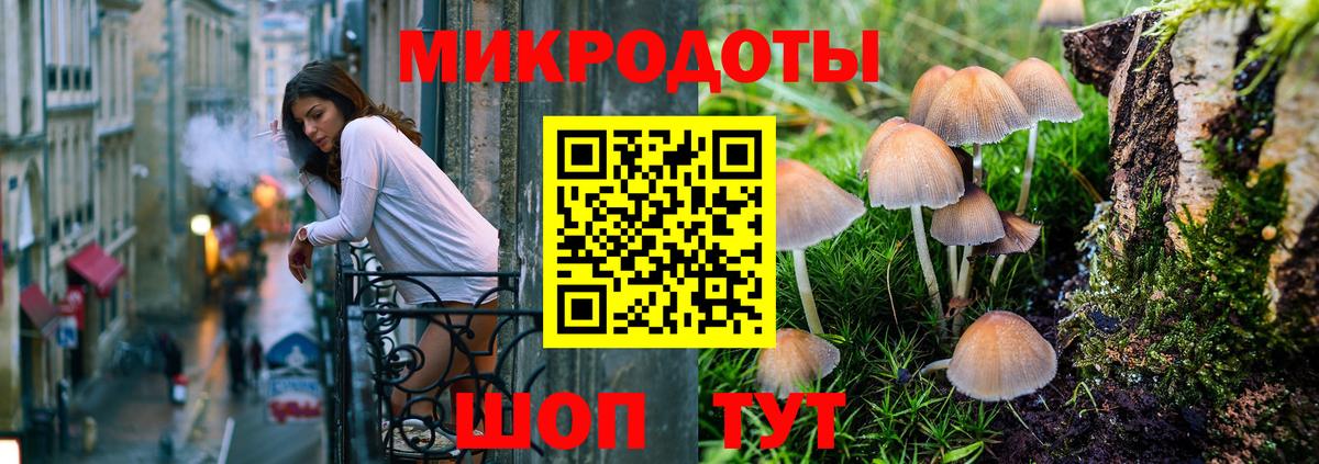 Пенза  Галлюциногенные грибы GOLDEN TEACHER  купить закладку  Вход с VPN  Галлюциногенные грибы мицелий 