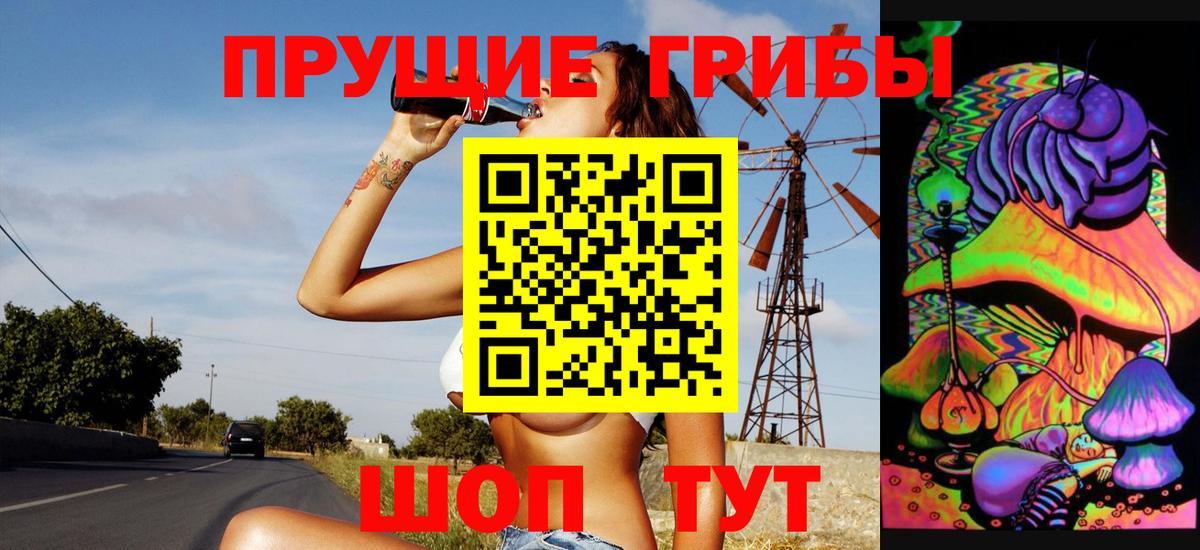 Псилоцибиновые грибы Psilocybe Пенза